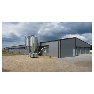 China Economical Prefab House Building Steel Structure Poultry Farm Poultry Farm Building House for sale