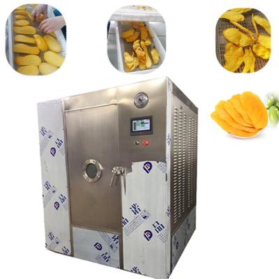 China Medicine Processing New Type Coffee Bean Microwave Drying Equipment Vacuum Tubler Dryer for sale