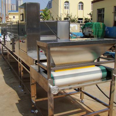 China Medicine Processing Tunnel Conveyor Belt Microwave Electric Dryer For Drying Silkworm Cocoon Fruit Drying Machine for sale