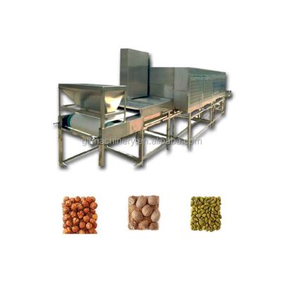 China Medicine Processing Coffee Drying Belt Tunnel Dryer Machine For Berries Microwave Drying for sale