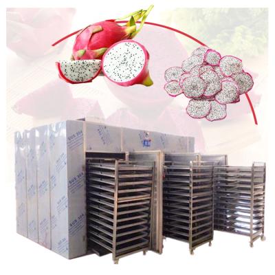 China Pharmaceutical For Raisin Processor Drying Oven Mushroom Dryer Grape Drying Machine for sale