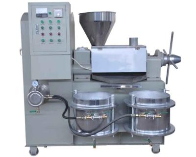 China Popular Hotels Argan Olive Oil Cold Press Machine in Turkey for sale