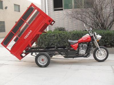 China Cargo Motor Tricycle Use For Cargo With Long Seat for sale