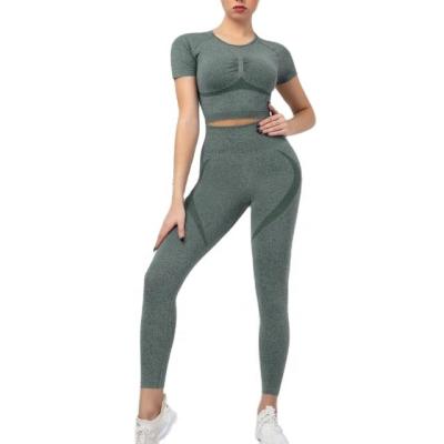 China Hot Sale Women's Sweatsuit Breathable Seamless Knitted Slim Fit Short Sleeve Fitness Butt Yoga Set Top Sports Tracksuits Crack! crack! for sale