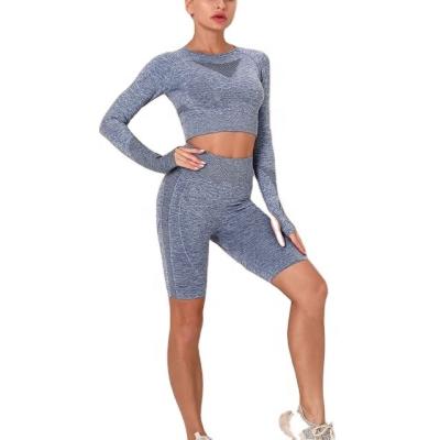 China Hot Sale Seamless Long Sleeve Shorts Women Breathable Sweatsuit Yoga Sets Running Shorts Yoga Set Active Wear Women Sweatsuit Set for sale