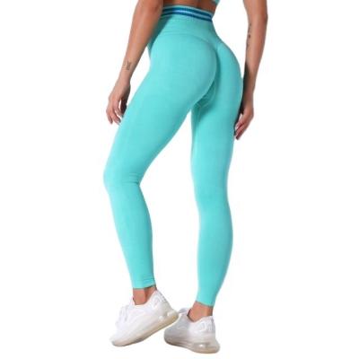 China Seamless Hot Selling Breathable Knitted Lift Up Quick Dry Breathable Yoga Pants Gym Wear Clothes High Waist Yoga Pants Gaiters for sale