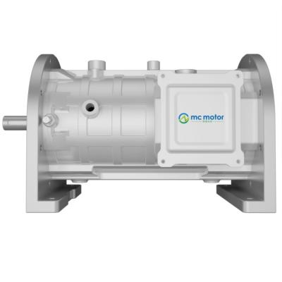 China 30KW 15000RPM 19.1N M 3 Phase Pmsm-Motor zu verkaufen