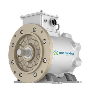 중국 3개 단계 서보 기구에 의한 8개 막대기 37KW 6000RPM 에이 동기 모터 판매용