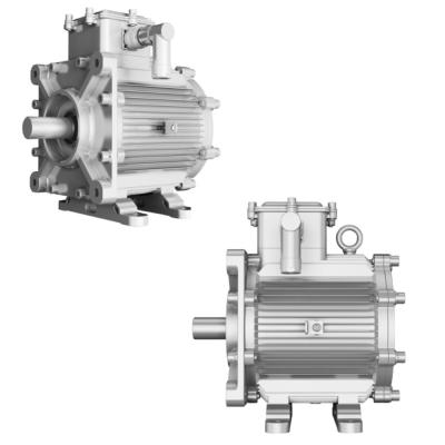 중국 거리낌 2.7KW 2500RPM 고토크 영구 자석 모터 판매용