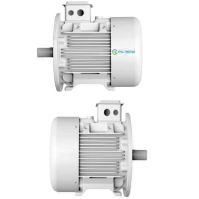 China Electric AC Low Vibration 110KW PM Synchronous Motor for sale