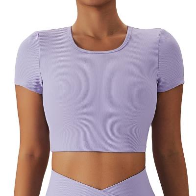 China Breathable MeiSu yoga suit  high-strength quick drying fitness short sleeved top for sale