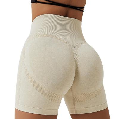 China Breathable Chinese supply seamless scrunch women work out sports short pans gym fitness seamless yoga biker shorts for women for sale