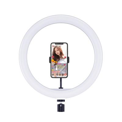 China PORTABLE 12inch Ring Fill Selfie Light 30cm Ring Light Dimmable Circular LED Flash 12inch Photography Ringlight for sale