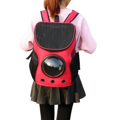 China Breathable Space Capsule Airline Approved Bubble Travel Pet Carrier Bagpack for sale