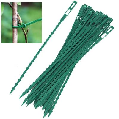 China 50 Pieces Easy To Use And Reusable Garden Plant Twist Ties 13cm Adjustable Flexible Plastic Multi-Use Twist Ties For Vine And Gardening Home for sale