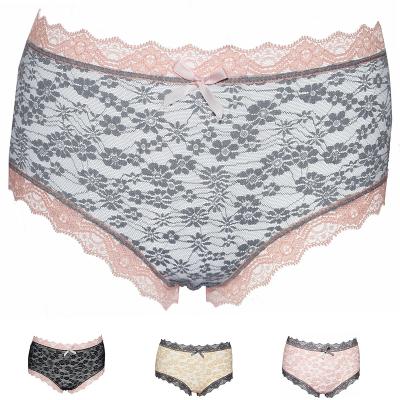 China Factory Directly Functional fabric Anti-Bacterial Underwear Briefs Women Lace Seamless Panties Sexy Women's Panty lingerie for sale