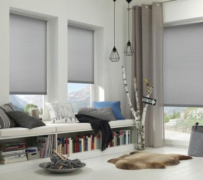 China Fireproof Electric Blinds For Window Plug & Play Roller Shades Blackout Double Roller Blinds Shade Windows Roller Blinds for sale