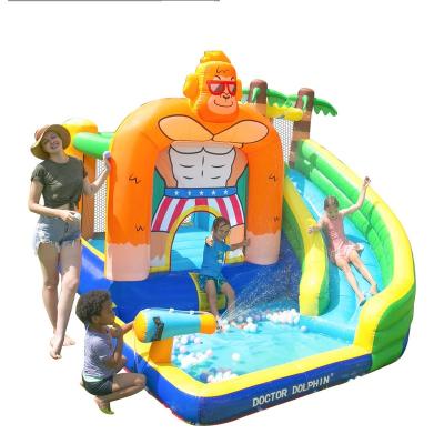 China Fashionable hot selling items Doctor Dolphin outdoor games party inflatable jumping castle water slide spiderman bounce house for sale