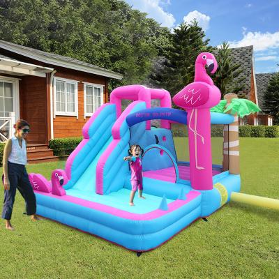 China Commercial Multifunctional Children Doctor Dolphin Jumping Slide Bounce House Bouncing Castles Inflatable Bouncy Castle for sale