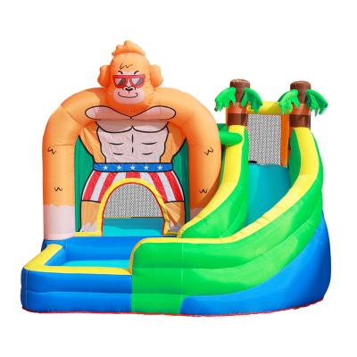 China Cheap Family Party Doctor Dolphin Air Jumping Inflatable Bounce Commercial Kids Bounce Castle Slide for sale