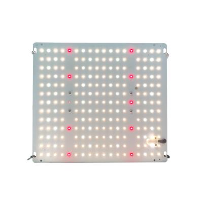 China Seed Starting 2021 Best 100W Led Grow Light For Garden Led Grow Lights For Plants Veg 220W/480W Indoor for sale