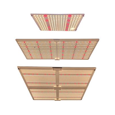 China Seed Starting Full Spectrum 480 Watt Led Grow Light Lm301b Led To Grow Light Quality Newest Waterproof IP65 Hydroponic Led Grow Light for sale