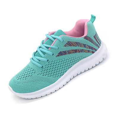 China Lace up green/pink/gray knit low top cement women shoes with cheap price for sale