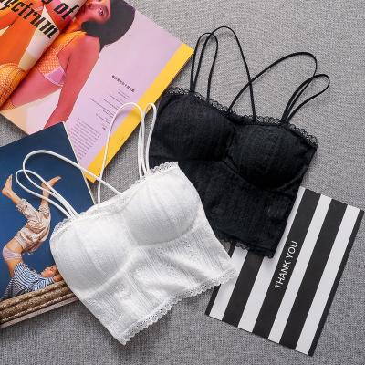 China New Fashion Women's Ladies Crop Camisole Strap Sexy Lingerie Underwear Sexy Bra Eco-friendly Eco-friendly Nylon Lace Top for sale