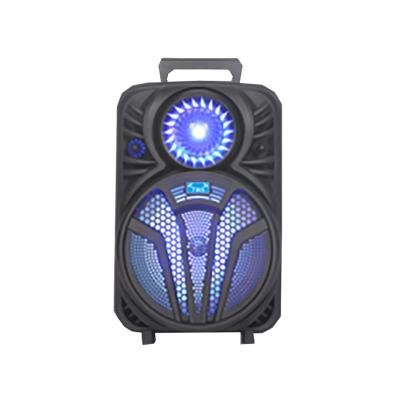 China DTS 8 Inch Handgrip Speaker Wired MIC Speakers Worth Buying Multifunctional Speaker for sale