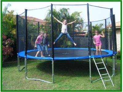 China 8ft 10ft Outdoor Bungee Big Jump Trampoline with enclosure / childrens trampoline for sale