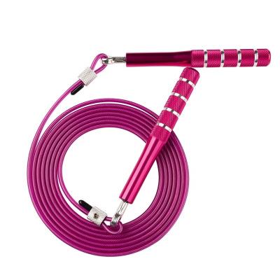 China Aluminum Alloy OEM Adjustable Speed ​​Jumping Jump Rope for Adult and Kids Fitness Explosive Training Exercise for sale