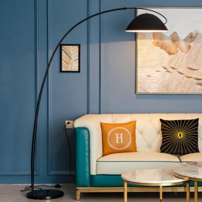 China Modern floor lamp for hotel/living room/study/bedroom modern style lamp Northern Europe indoor fishing floor lamp for sale