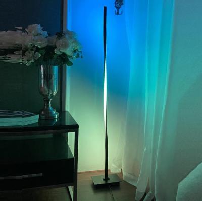 China Modern Nordic Style LED Modern Lamps For Living Room/Bedroom/Study Decoration RGB Curve Lamp Indoor Floor Lamp for sale