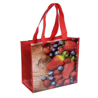 China Customized Handled Printing Laminated Non Woven PP Sack Recyclable Eco Friendly Shopping Bag for sale