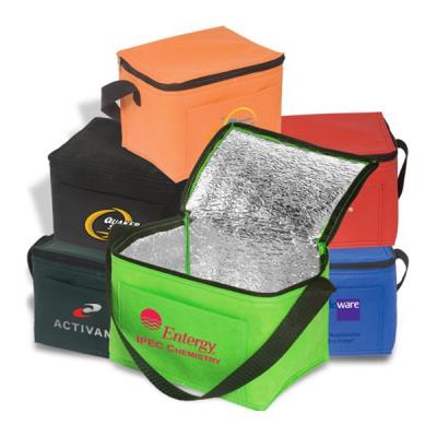 China Food Customized Inflatable Fresh Frozn Cooler Lunch Bag Carry Large Waterproof Sprouts Cooler Bag for sale