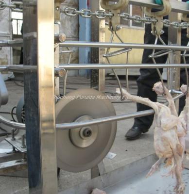 China High efficiency chicken slaughtering machine or chicken feather hot sale plucker for sale