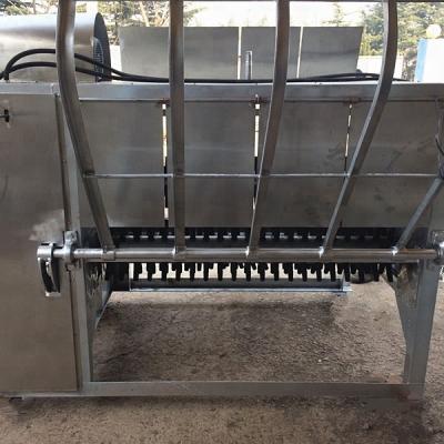 China Fully automatic pig carcass hair removal machine or pig slaughtering machine for sale