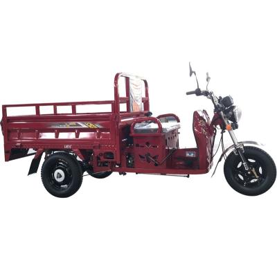 China Cargo CKD RACING WHOLESALE PRICE GASOLINE CARGO TRICYCLE for sale