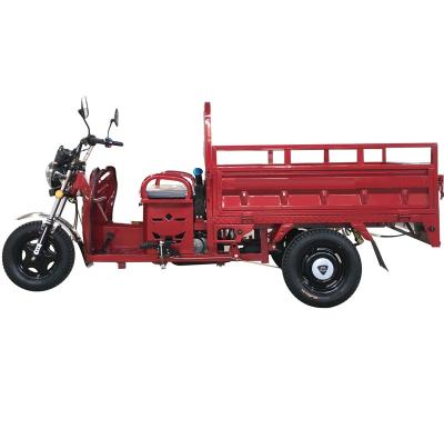 China Cargo Air Cooling Engine Displacement 110cc 130cc 150cc Gasoline Cargo Tricycle For Aisa Market for sale