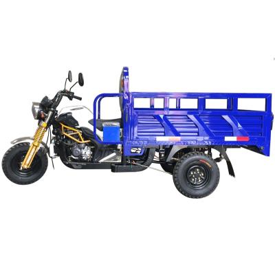 China Cargo Delivery Three Wheel Motorcycle Gasoline Farmer for sale