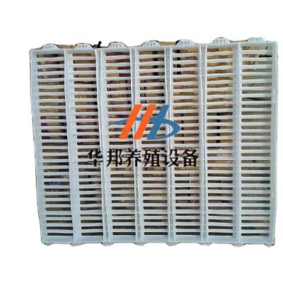 China plastic chick chicken,duck,pheasants,quail pigeon broiler layer dove and small goose transport crate for sale