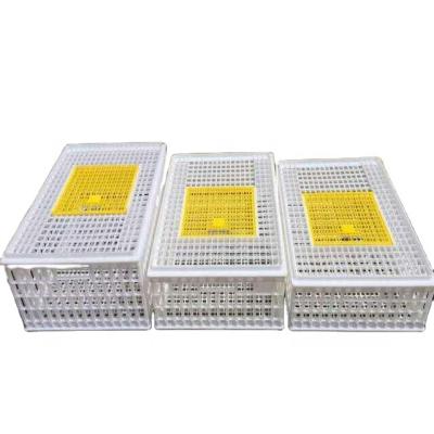 China china manufacture supply poultry plastic transport crate for chicken duck and gooes for sale for sale