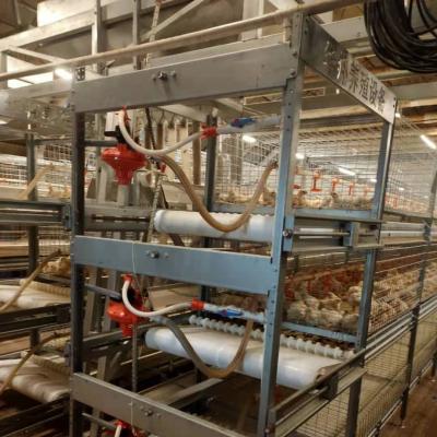 China broiler starter feed elevated automatic feeding system broiler hen layer cage for sale