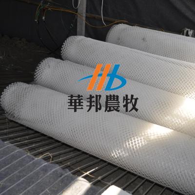 Chine chicken farming equipment plastic soft net flooring system factory price à vendre