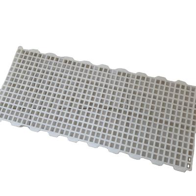 中国 new arrived 2019 poultry farming equipment plastic net floor/plastic mattress mesh 販売のため