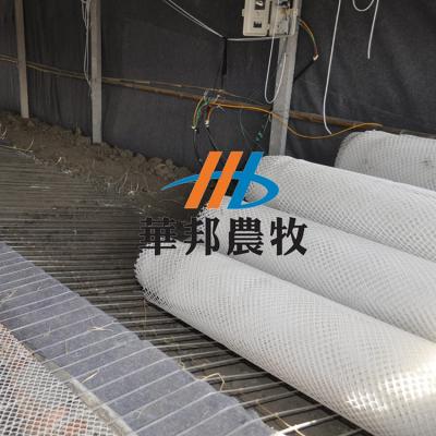 China poultry farming equipment / PE net flooring for sale