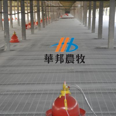 Chine 2016 hot sale good quality poultry farm equipment whilte soft plastic net floor à vendre