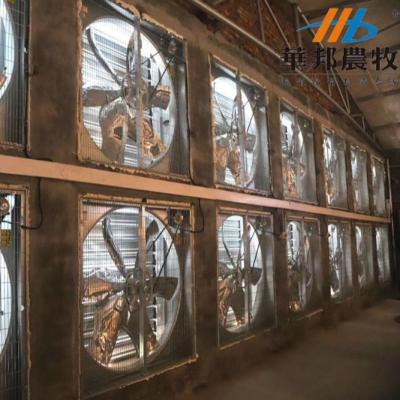 China poultry control equipment ventilation exhaust fan ventilation exhaust fan temperature controlled à venda