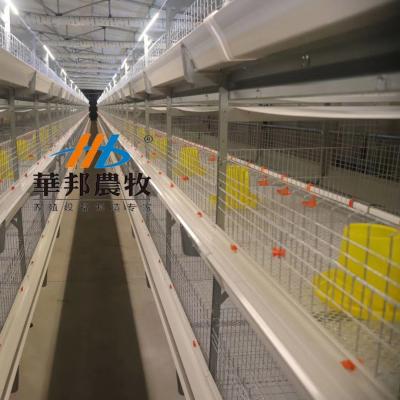 China meat broiler chicken cages for sale cage for broiler hen layer cage Te koop