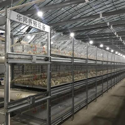 中国 Poultry Farming Equipments Automatic H type battery system Broiler cages for sale 販売のため